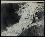[Nude under tree]