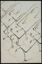 [American Optical Company, spectacles for wrapping paper design]