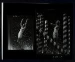 [Carter Corsets, woman with stars and stripes background]