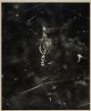 [spider in web]