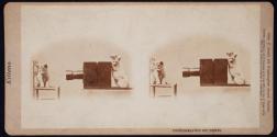Kittens, Photographic Students