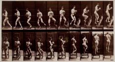 [Descend'g step-ladder, turn'g around, rock in hands]