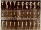 Various poses