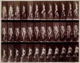 [Descending stairs, stooping lifting pitcher, turning]