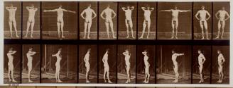 [Various poses]
