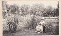 Nellie Lewis