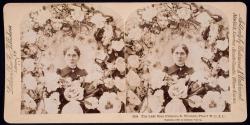 The late Miss Frances E. Willard, Pres't W.C.T.U.