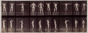 [Various poses]