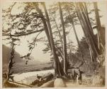The Tokaido between Yokohama and Fujisawa