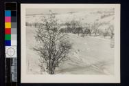 [Snow covered hillside]