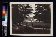 [Stone House Farm framed by trees]