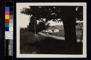 [Horse and carriage passing Stone House farm]