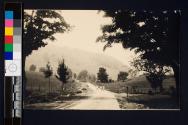 [Children on road]