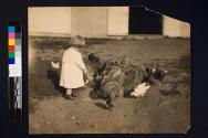 [Harriet Rich feeding chickens]