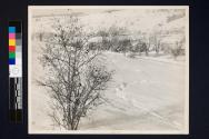 [Snow covered hillside]