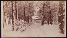 [Snow covered lane leading up to house in the woods]