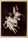 [Two Centaurs and harp]