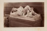 [Firenze Adone di Michelangelo, Museo Nationale]