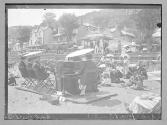 Angleterre (I. de W.) Shanklin