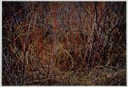 Straw & Bramble, Redding, CT, 1970