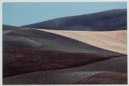 Paesaggio, Lucania, 1978
