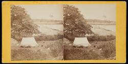 [Colby Camp at Lobster Cove, Manchester, Mass]