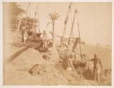 Chadoufs de la Haute Egypte