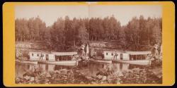 View of Steamer in Dick's Bay, Anthony in foreground