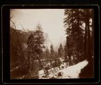 A peep into the Yosemite Valley from Inspiration Point