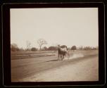 Piedmont on the track