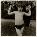 Adam in the Garden