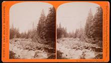 View in Upper Canon of Middle Creek