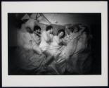 [People sleeping]