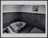 Home for the Dying, Mother Teresa's Missions of Charity, Calcutta, India