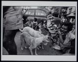 Feeding people at the Home for the Dying (outside), Calcutta, India