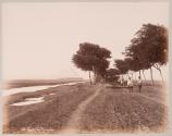 Route des Pyramides