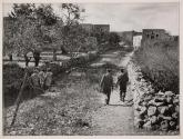 [Israel, two soldiers walking through garden area divided by barbed wire, three girls on other side looking away]