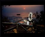Skunk and Strawberries on Great Pond