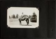 [Joan Martin riding horse, Umpawaug, CT]