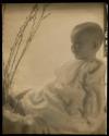 [Mary Steichen with pussy willows]