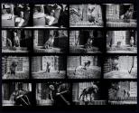[Man on stoop with dog and puppy]