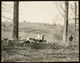 [View of a fox hunt with hounds]