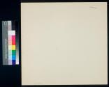Aspargine Crystals - Polarized Transmitted Light