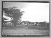 Abyssinie Dire-Daoua-habitation d'europeens