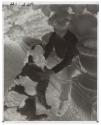 [Eugene Meyer Family]