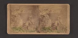 Barred Owls