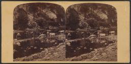 A midday scene in the Narrows, near Cumberland, Maryland