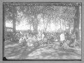 Boufarik marche aux bestiaux