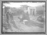 Abyssinie-scene locale
