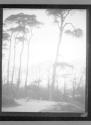 [Image used for photograph entitled "Saltram's Seat"]